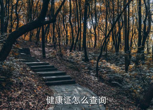 健康证怎么查询