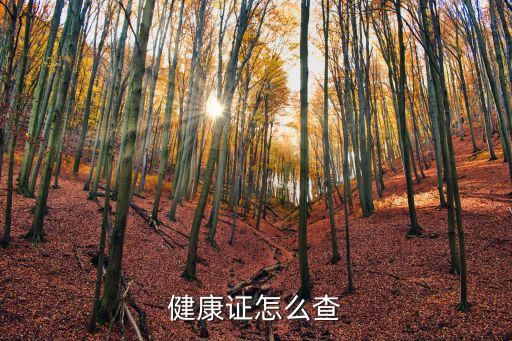健康证怎么查