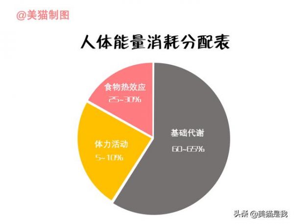 熱量消耗主要來自3個部分，掌握關鍵的一部分，你會越來越瘦