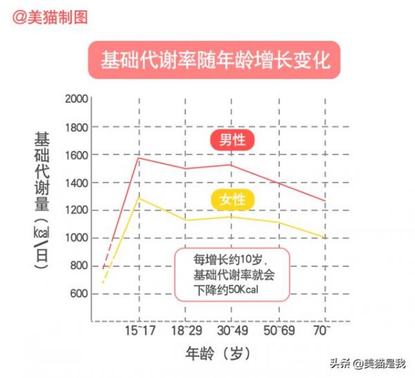 熱量消耗主要來自3個部分，掌握關鍵的一部分，你會越來越瘦