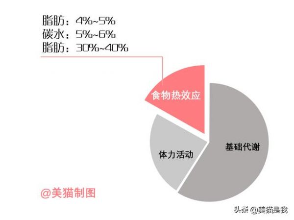熱量消耗主要來自3個部分，掌握關鍵的一部分，你會越來越瘦