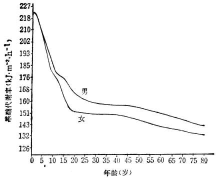 不同性別與不同年齡的正常基礎(chǔ)代謝率