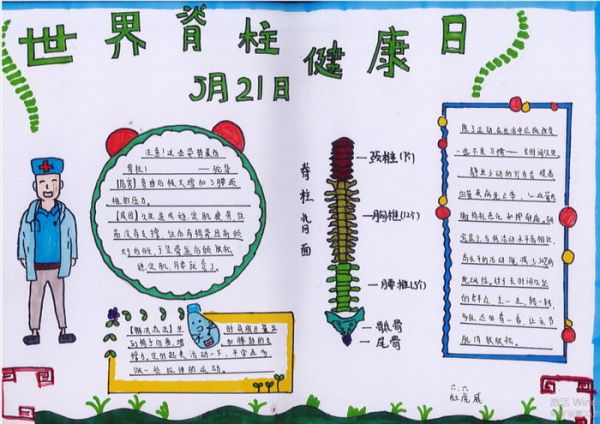 世界脊柱健康日手抄報(bào)圖片