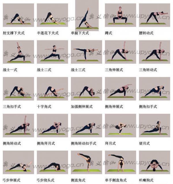 瑜伽體位圖2