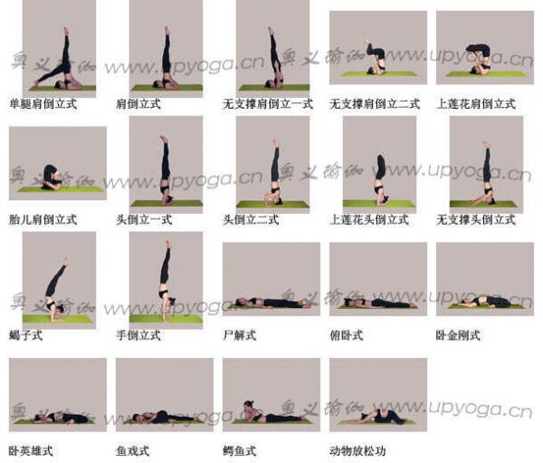 瑜伽體位圖4