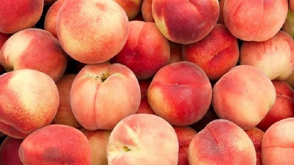 如何保養(yǎng)腸胃健康？腸胃養(yǎng)生保健要怎么做