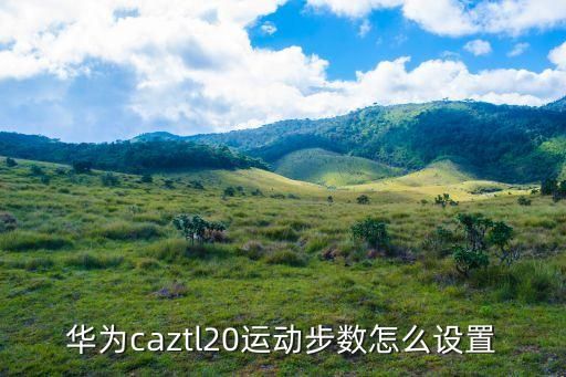 华为caztl20运动步数怎么设置