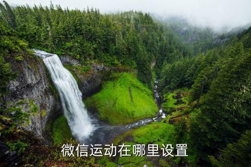 微信运动在哪里设置