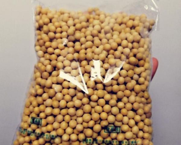 超級方便制作的豆?jié){牛奶的做法