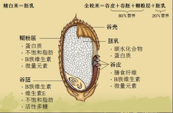 怎樣選購(gòu)全谷物食品？