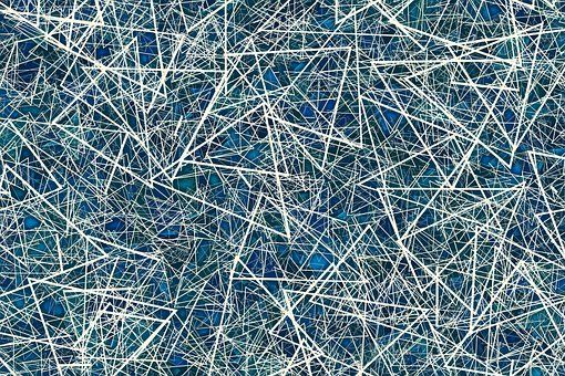 胃腸、腎、肺功能虛寒的老人不可多吃，以免...