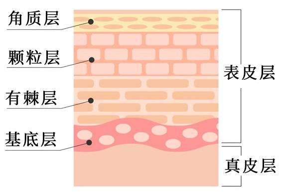 src=http___image3.cnpp.cn_upload_images_20190422_12260341381_564x387.jpg&refer=http___image3.cnpp.jpg