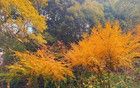 -9.6℃！破紀(jì)錄！寧波人挺住，又要大反轉(zhuǎn)