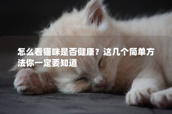 怎么看貓咪是否健康？這幾個簡單方法你一定要知道