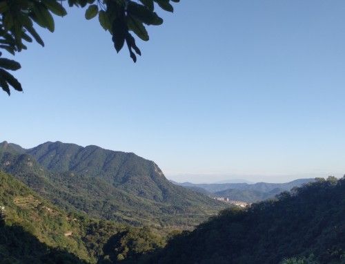 健康碼紅碼怎么樣才能變成綠碼