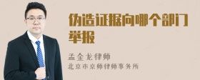 偽造證據向哪個部門舉報