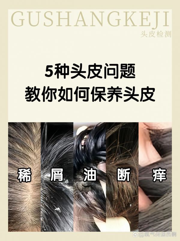 https://selfpage-gips.cdn.bcebos.com/19d32d1ee3084987dc5f5749432e55a0.jpg