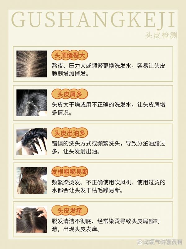 https://selfpage-gips.cdn.bcebos.com/06079e2c84bf9be655c33be57da89f27.jpg
