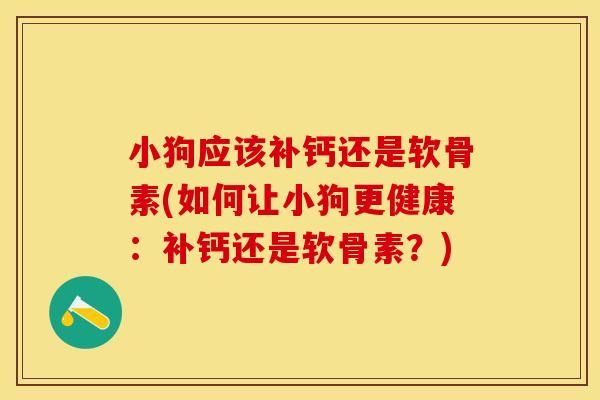 小狗应该补钙还是软骨素(如何让小狗更健康：补钙还是软骨素？)