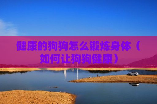 健康的狗狗怎么锻炼身体（如何让狗狗健康）