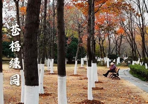 人生沒(méi)有不可逾越的天塹——蒼梧綠園