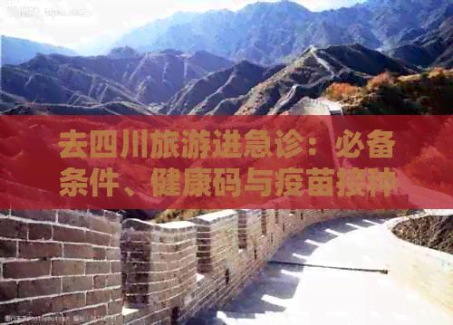 去四川旅游进急诊：必备条件、健康码与疫苗接种须知