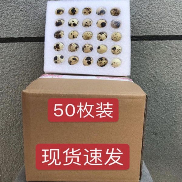 賽卡伊 生蛋輔食純正綠色農(nóng)家雜糧喂養(yǎng)現(xiàn)撿現(xiàn)鵪鶉蛋