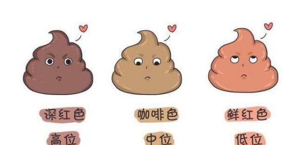想知道泰迪犬健不健康，主要看這5點，占3點以上就厲害了！