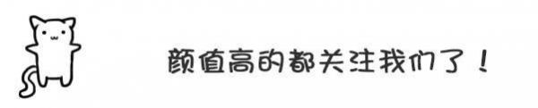 想知道泰迪犬健不健康，主要看這5點，占3點以上就厲害了！