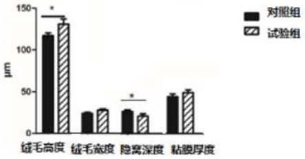 一種促進(jìn)蛋鵪鶉腸胃發(fā)育和腸道健康的育雛育成料的制作方法
