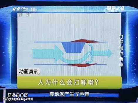 示意图：打呼噜的原因