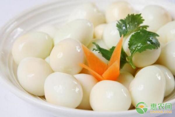 鵪鶉蛋有哪些食用功效？2019年<a  class='j-href' target='_blank'>鵪鶉<a  class='j-href' target='_blank'>蛋價(jià)格</a></a>行情分析