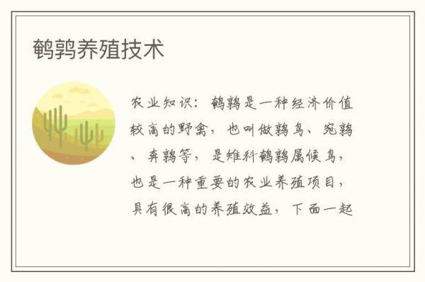 鹌鹑养殖技术