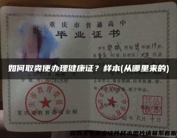 如何取糞便辦理健康證？樣本(從哪里來的)