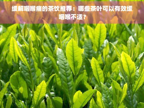 緩解咽喉痛的茶飲推薦：哪些茶葉可以有效緩咽喉不適？