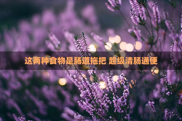 這兩種食物是腸道拖把