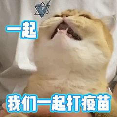 QQ圖片20210723104238.gif