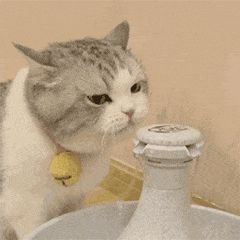 QQ圖片20210723105914.gif