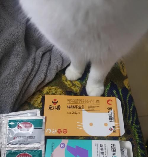 猫咪肠胃炎的调理之道（宠物健康）