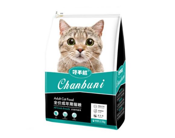 1~12 月猫咪如何饲养？| 养猫必备指南 