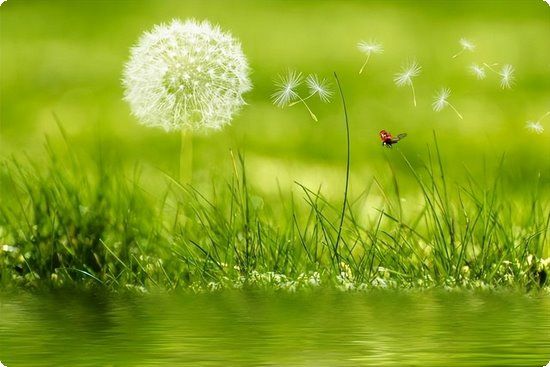 胎宝宝的健康状况应该怎么检查?