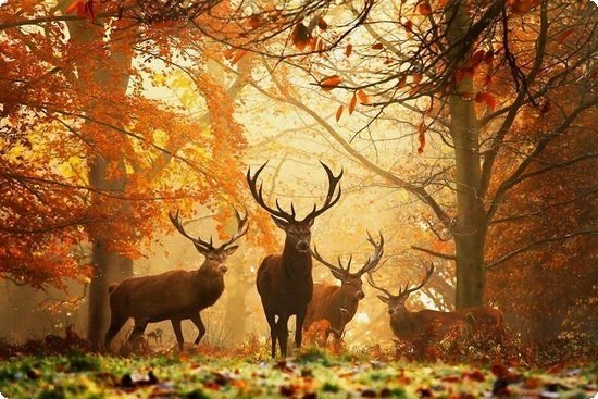 胎宝宝的健康状况应该怎么检查?