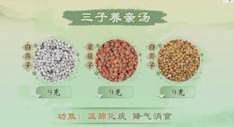 三子養(yǎng)親湯