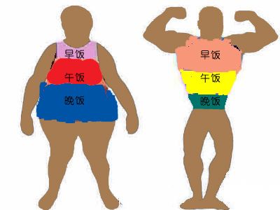 早午飯跟身形