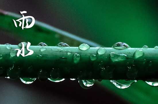 雨水節(jié)氣的特點(diǎn)
