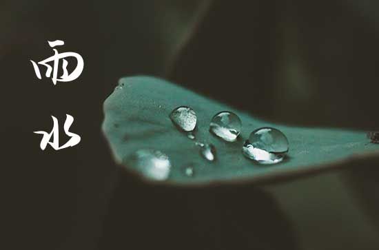 雨水節(jié)氣的特點(diǎn)