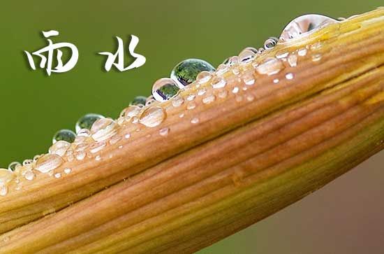 雨水節(jié)氣的特點(diǎn)