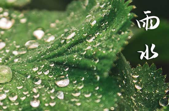 雨水節(jié)氣的特點(diǎn)