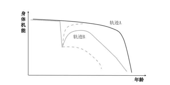 衰老的不同轨迹示意图