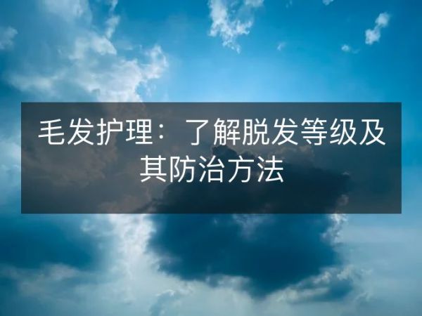 毛發(fā)護(hù)理：了解脫發(fā)等級(jí)及其防治方法